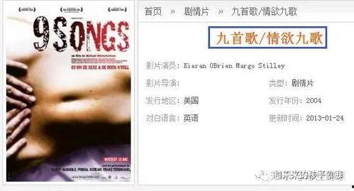 九首歌电影在线观看,穿越时空的旋律之旅 第3张 九首歌电影在线观看,穿越时空的旋律之旅 第3张